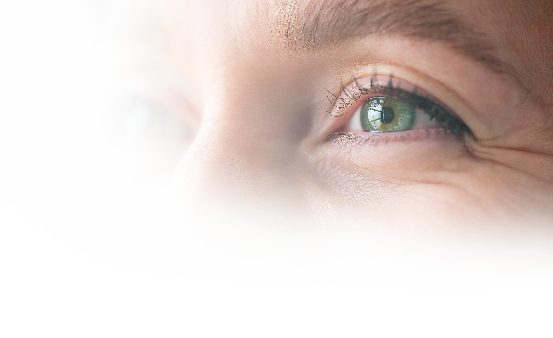 gros plan sur un oeil