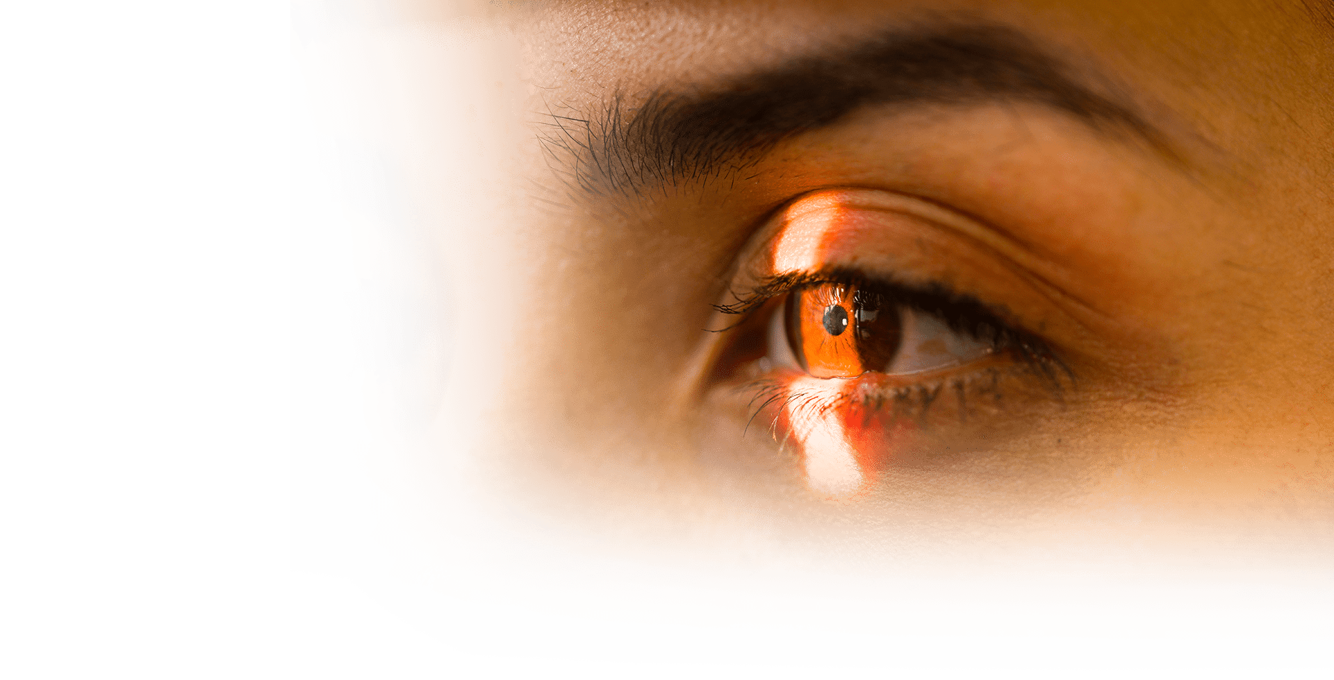 photo gros plan oeil control